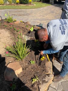 Georgetown Sprinkler Repair Tech