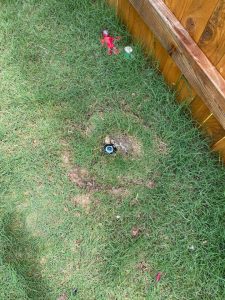 Georgetown Sprinkler Repair